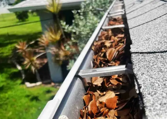 Nicholasville gutter cleaning home page